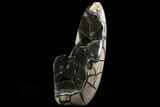 Bargain, Polished Septarian Geode Sculpture - Black Crystals #71876-1